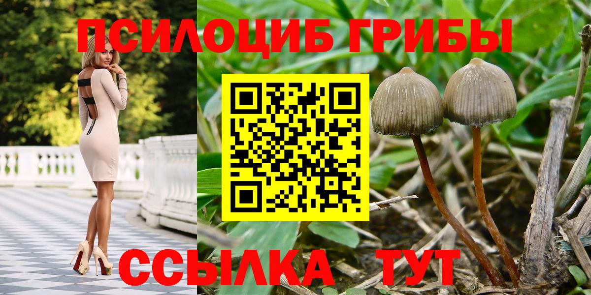 Галлюциногенные грибы ЛСД  Псилоцибиновые грибы Psilocybine cubensis  Вход с VPN  Ковров 